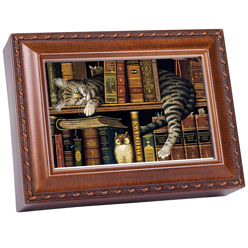 7733 Cat Sleeping in Library Woodgrain Rope Trim Music Box Plays That's